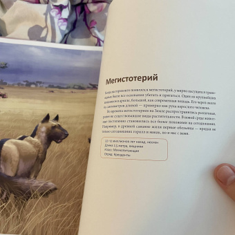 Столенхаг, Давор: Первобытные картины