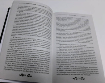 Широков, Шапочкин: Обломки клана