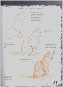 Марк Берджин: Школа рисования. Кошки