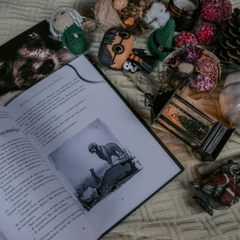 Роджер Желязны: Ночь в тоскливом октябре. Подарочное иллюстрированное издание