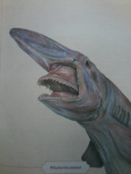 Сэми Бэйли: Энциклопедия удивительных животных