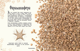 Бен Хоар: Чудеса природы. Энциклопедия