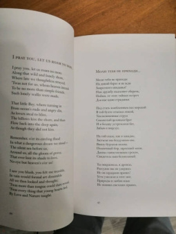 Мур, Шелли, Лонгфелло: Леда и лебедь. Английские, американские и ирландские поэты в переводах Романа Дубровкина