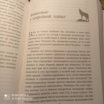 Петер Воллебен: Тайные связи в природе