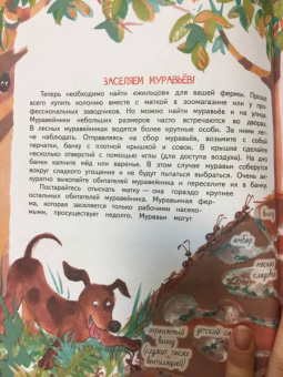 Елена Цезарь: Как это устроено