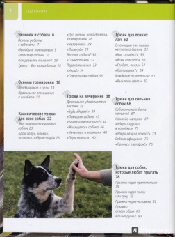 Ангела Вегманн: Дрессируем собаку