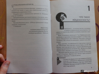Юрий Седов: Чтобы куры неслись круглый год