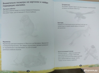 Атлас животных с наклейками