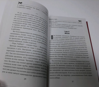 Рид Майн: Письмо и пуля