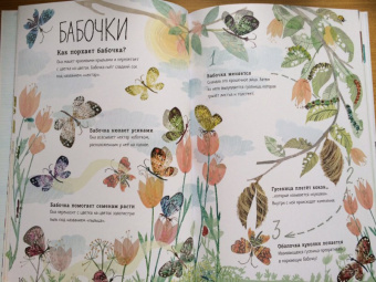 Зоммер, Тейлор: Большая книга букашек