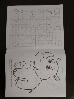 Забавные прописи про зверят. Игры, обводки, письмо, штриховки, стишки, загадки. 3-4 года