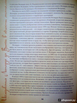 Мартин Клейтон: Анатомия Леонардо