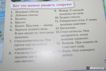 Инна Карпова: Шофер