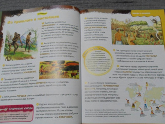 Вероника Пеллегрини: Вопросы и ответы обо всем на свете