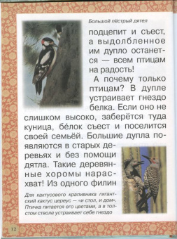 Инна Гамазкова: Гнезда, норки, домики