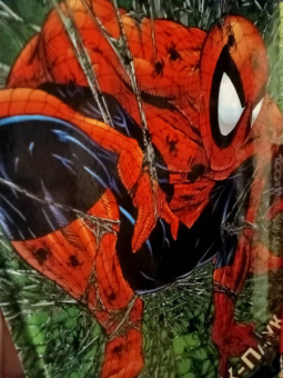 МакФарлейн, Лайфилд, Нициеза: Человек-Паук. Полное издание