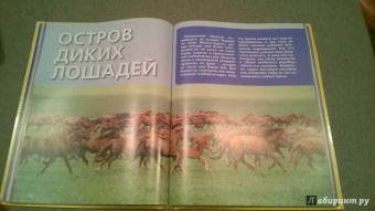 Дикие животные России