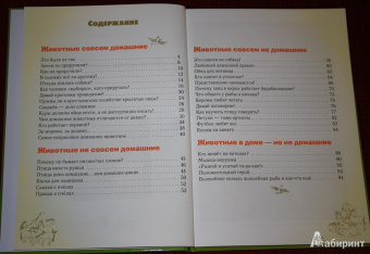 Светлана Лаврова: Домашние животные