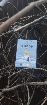 Эгер, Швалль-Вейганд: Выбор. О свободе и внутренней силе человека