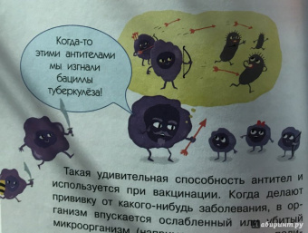 Анастасия Мещерякова: Почему мы болеем?
