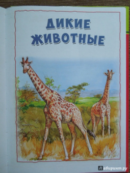 Моя первая книга о животных