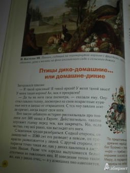 Светлана Лаврова: Домашние животные