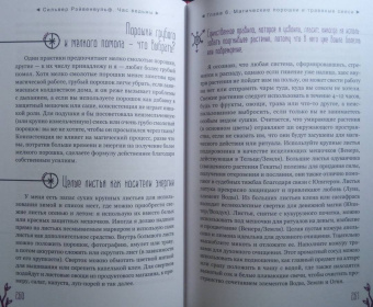 Сильвер Рэйвенвульф: Час ведьмы. Заклинания, порошки, формулы и эффективные техники ведовства
