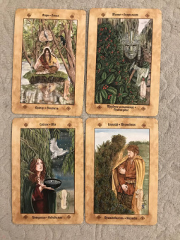 Асала, Идальго, Мюллер: Кельтские ритуалы + Кельтская народная кухня + Голоса деревьв. Комплект (6425)