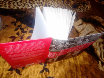 Дженнифер Арментроут: Лунный скандал