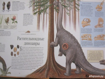 Большая энциклопедия эрудита