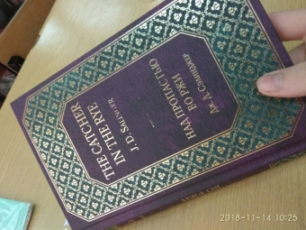 Джером Сэлинджер: Над пропастью во ржи