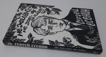 Сергей Есенин: Не жалею, не зову, не плачу...