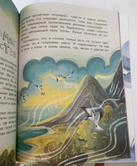 Петр Волцит: Куда летят перелётные птицы?