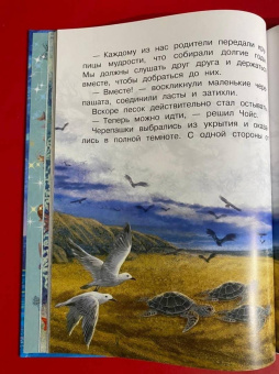 Наталия Немцова: Тайны океана. Сказки для почемучки