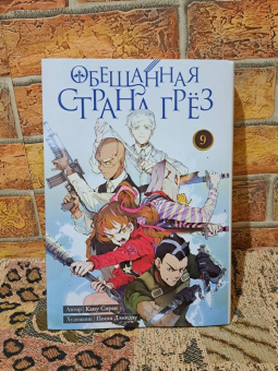 Каиу Сираи: Обещанная страна грёз. Книга 9