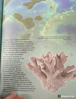 Ирина Морозова: Как растут камни