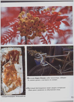 Иван Бойко: Детям об искусстве. Фотография