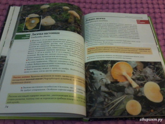 Федор Карпов: Грибы средней полосы России. Атлас-определитель