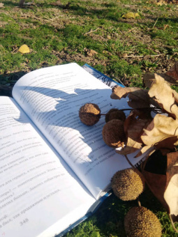 Екатерина Каблукова: Седьмая руна