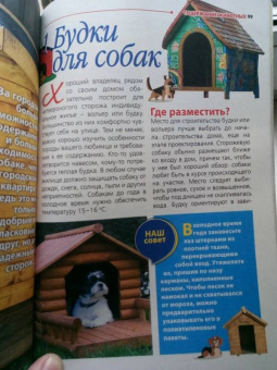 Буказин "Хозяйственные постройки на дачном" №4 2017