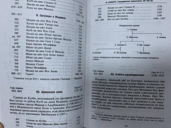 Стэнли Лейн-Пул: Мусульманские династии. Хронологические и генеалогические таблицы с историческими введениями