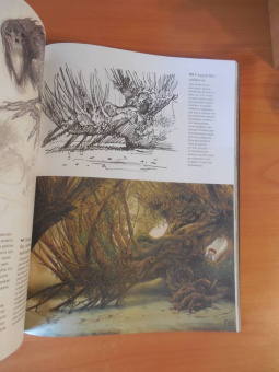 Джон Хоу: Высшая академия фэнтези. Руководство по рисованию фантастических миров