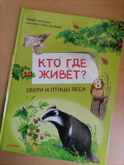 Марина Тиходеева: Кто где живёт? Звери и птицы леса