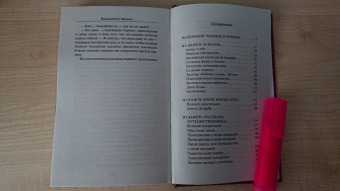 Вашингтон Ирвинг: Таинственный портрет. Сборник