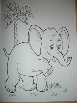 Татьяна Коваль: Живая планета