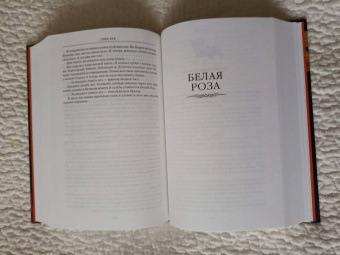 Глен Кук: Хроники Черного Отряда. Черный Отряд. Замок теней. Белая Роза