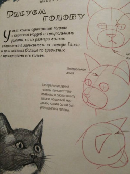 Марк Берджин: Школа рисования. Кошки