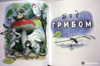 Владимир Сутеев: Загадочные истории