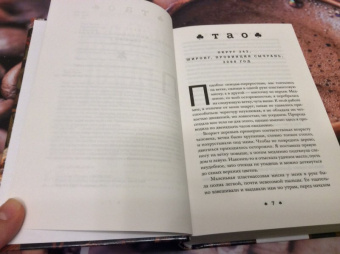 Майя Лунде: История пчел