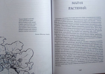 Фез Инкрайт: Магия растений:  убийцы и целители